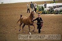 usn07_j03188 proof