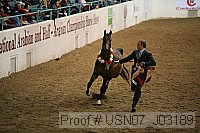 usn07_j03189 proof