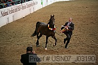 usn07_j03190 proof