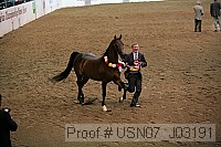 usn07_j03191 proof