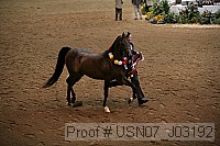 usn07_j03192 proof