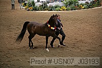 usn07_j03193 proof