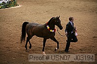 usn07_j03194 proof