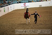 usn07_j03197 proof