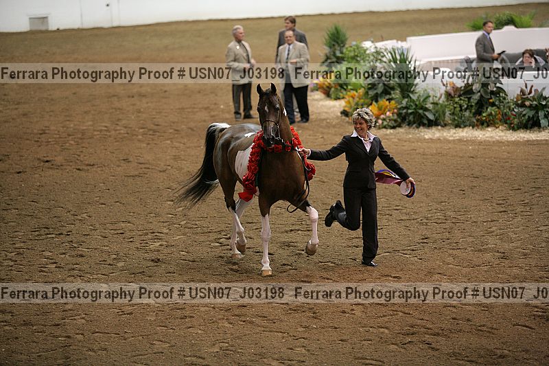 Proof usn07_j03198