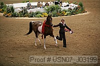 usn07_j03199 proof