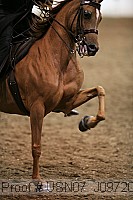 usn07_j09720 proof