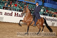 usn07_j00584 proof