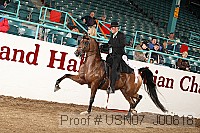 usn07_j00618 proof
