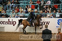 usn07_07811 proof