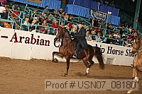 usn07_08180 proof