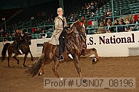 usn07_08196 proof