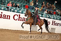 usn07_08220 proof