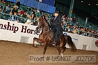 usn07_j02706 proof