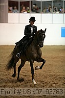 usn07_03783 proof