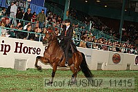 usn07_11415 proof