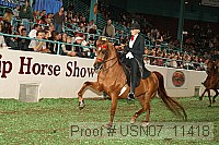 usn07_11418 proof