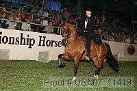 usn07_11419 proof