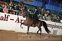 usn07_j03500 proof
