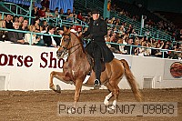 usn07_09868 proof