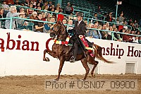 usn07_09900 proof