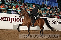 usn07_03082 proof