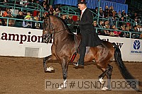 usn07_03083 proof