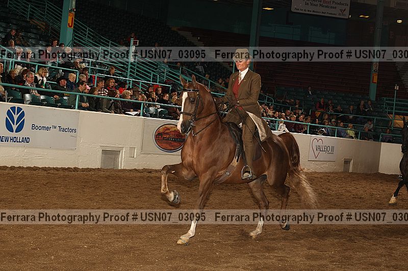 Proof usn07_03095