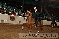 usn07_03102 proof