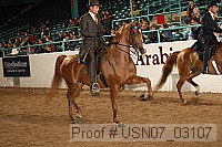 usn07_03107 proof