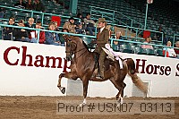 usn07_03113 proof