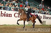 usn07_12377 proof