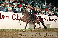 usn07_12384 proof