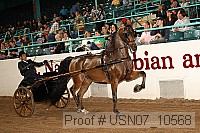 usn07_10568 proof