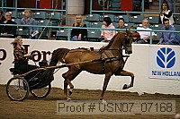 usn07_07168 proof