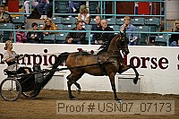usn07_07173 proof