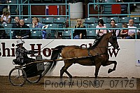 usn07_07175 proof