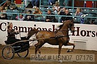 usn07_07176 proof