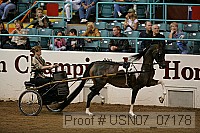 usn07_07178 proof
