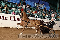 usn07_j06889 proof