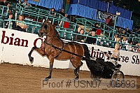 usn07_j06893 proof
