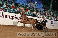usn07_j06894 proof