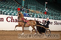 usn07_j06906 proof