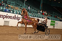 usn07_j06907 proof