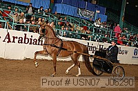 usn07_j06290 proof