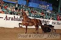 usn07_j06291 proof