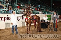 usn07_j06300 proof