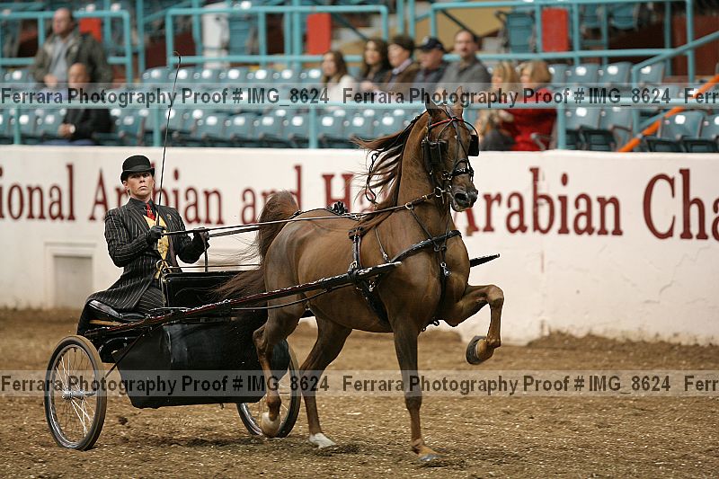 Proof img_8624