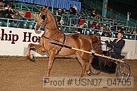 usn07_04705 proof