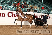 usn07_04710 proof